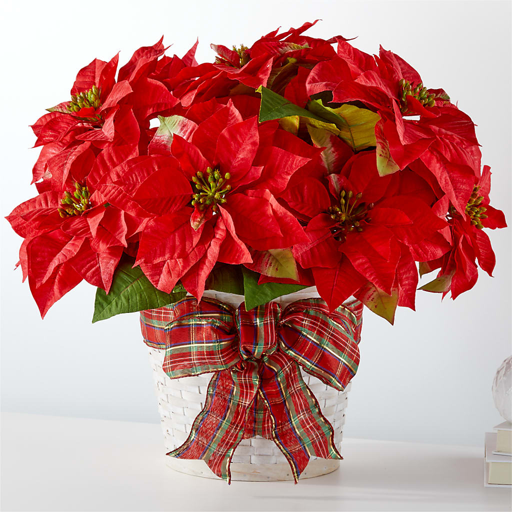 Happiest Holidays Poinsettia – Cheapflowers.com, Tontitown AR