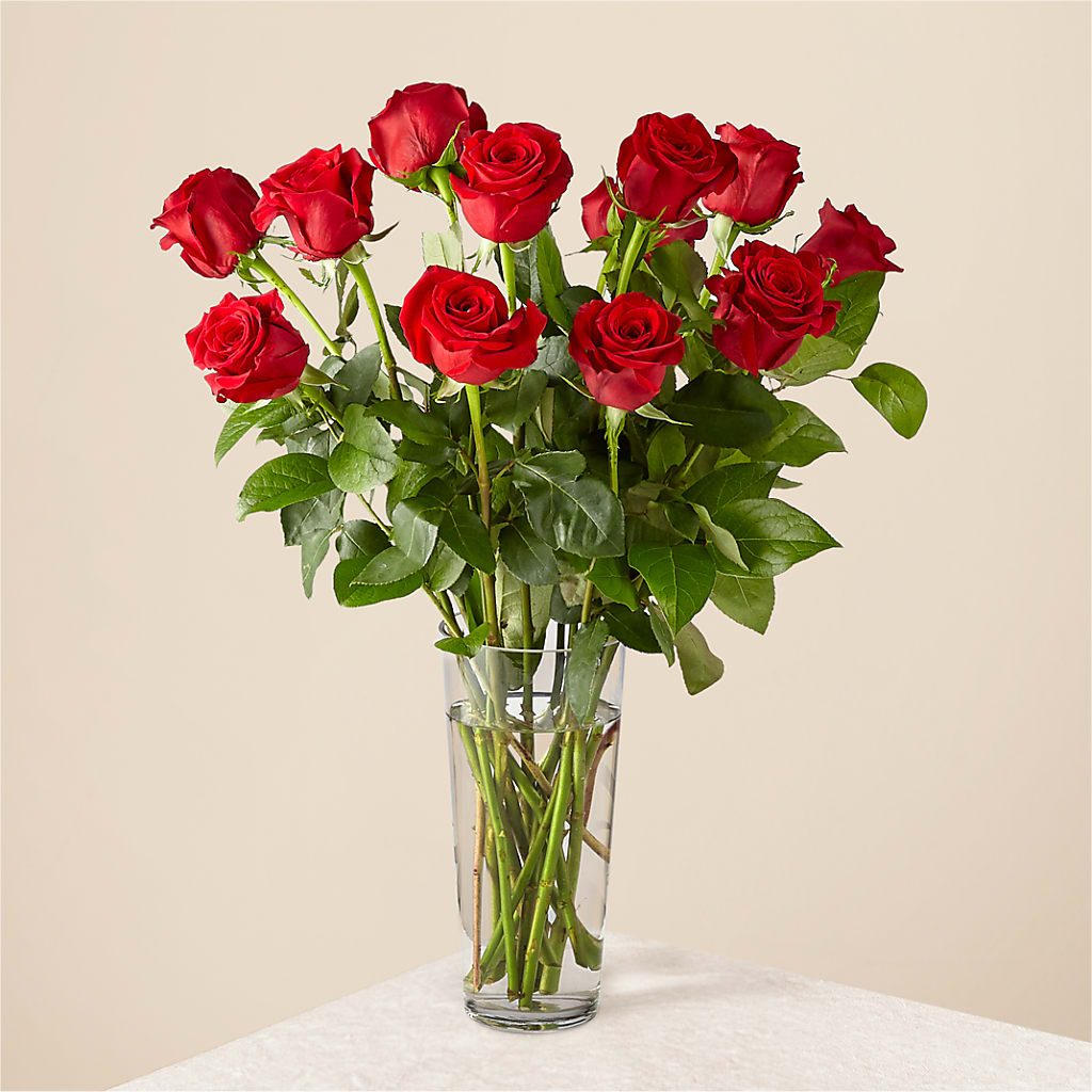 Long Stem Red Rose Bouquet – Cheapflowers.com, Tontitown AR