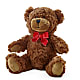 Adorable Plush Bear – Cheapflowers.com, Tontitown AR
