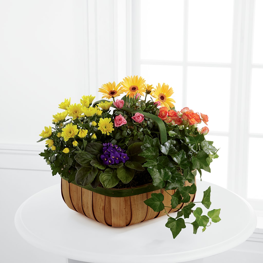 Gentle Blossoms Basket – Cheapflowers.com, Tontitown AR