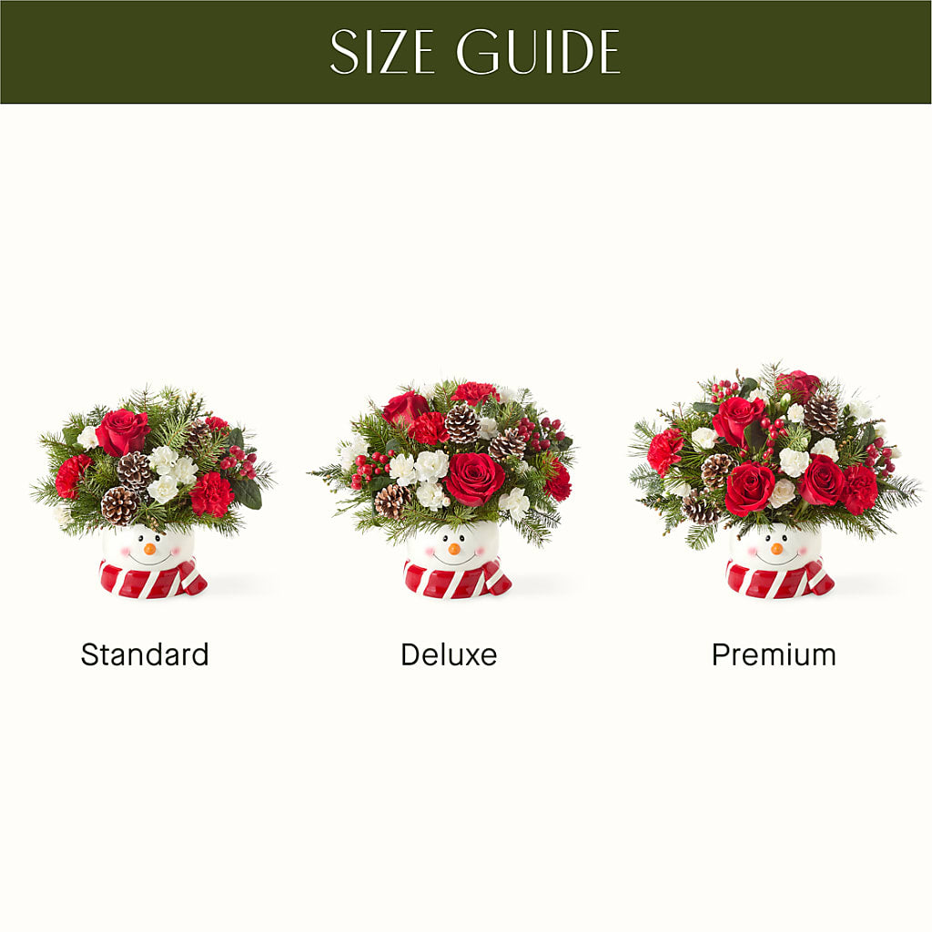 Jolly Snowman Bouquet – Cheapflowers.com, Tontitown AR