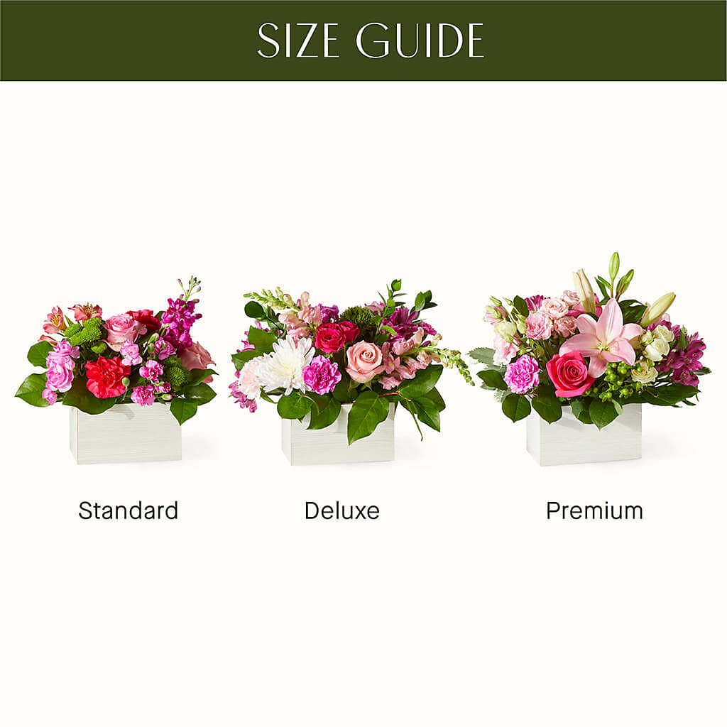 Sweetberry Box – A Florist Original – Cheapflowers.com, Tontitown AR