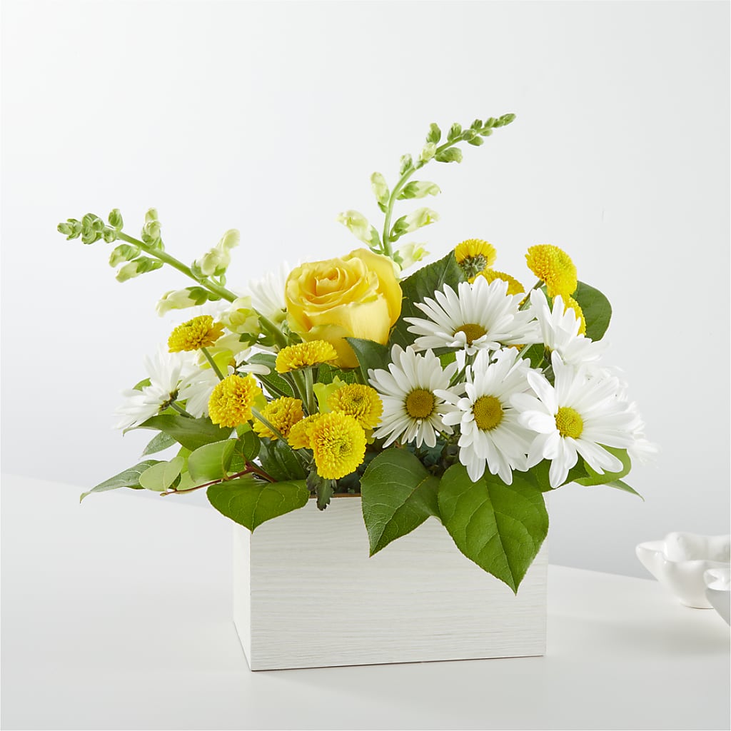 Sun Salutation Box Bouquet – Cheapflowers.com, Tontitown AR