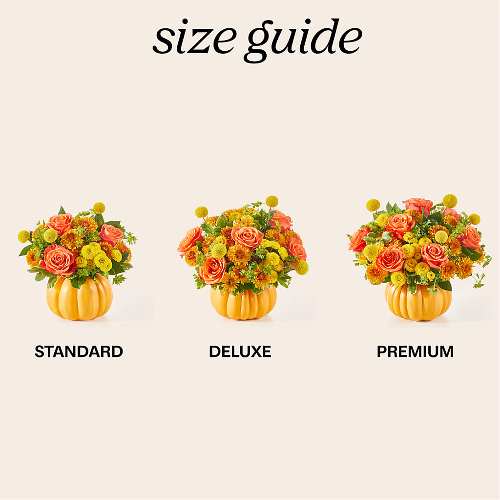 Gourdgeous Pumpkin – Cheapflowers.com, Tontitown AR