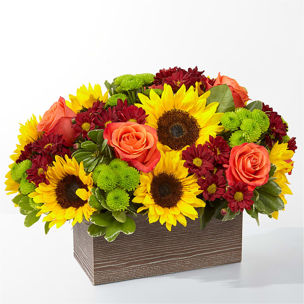 Happy Harvest Garden – Cheapflowers.com, Tontitown AR