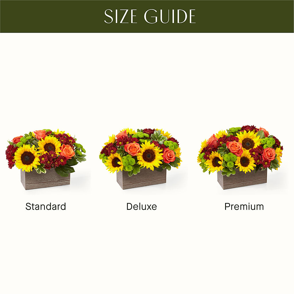 Happy Harvest Garden – Cheapflowers.com, Tontitown AR