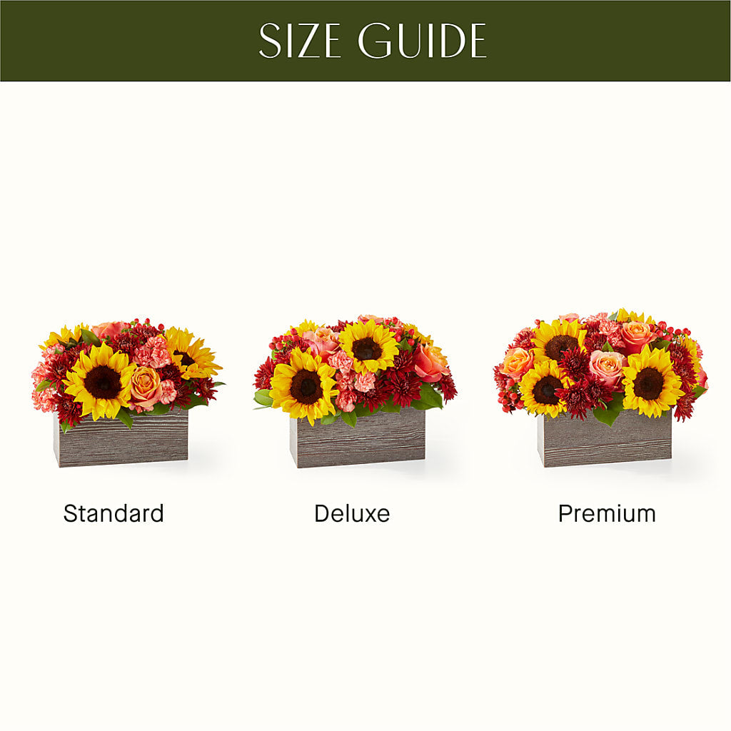 Fresh Cider Bouquet – Cheapflowers.com, Tontitown AR