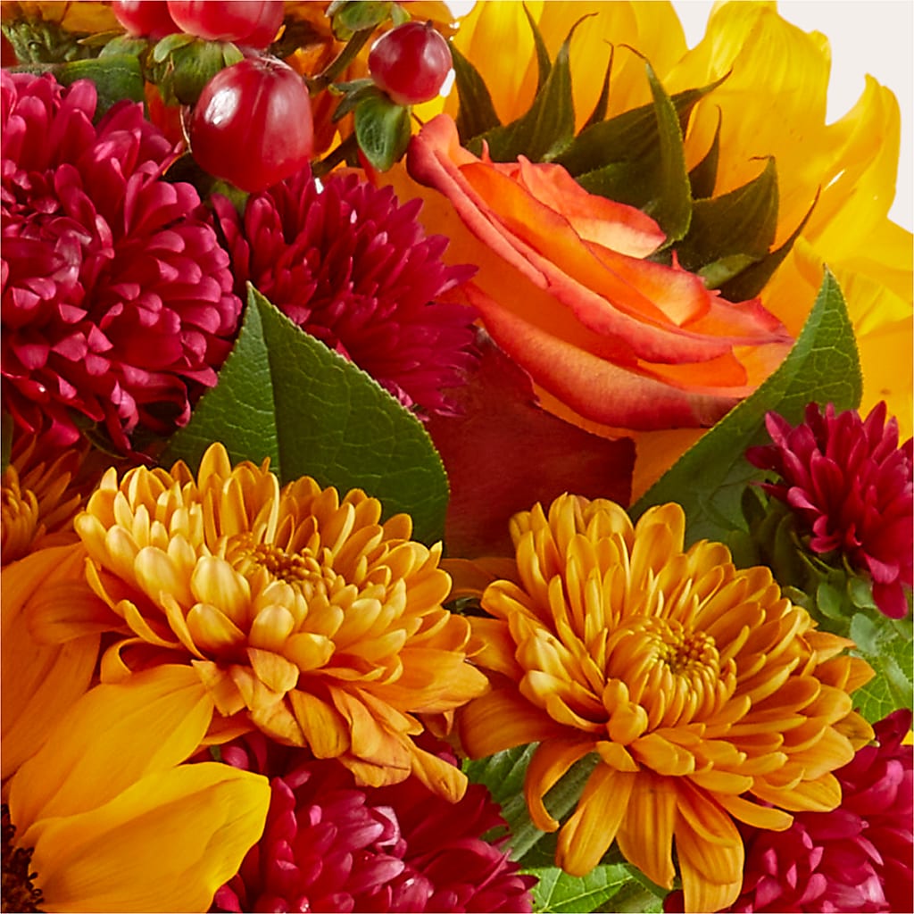 Sweater Season - A Florist Original – Cheapflowers.com, Tontitown AR