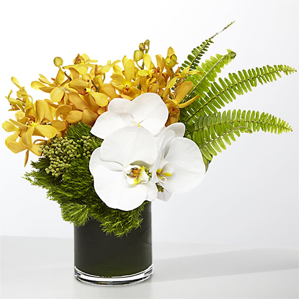 The Tropics – Cheapflowers.com, Tontitown AR