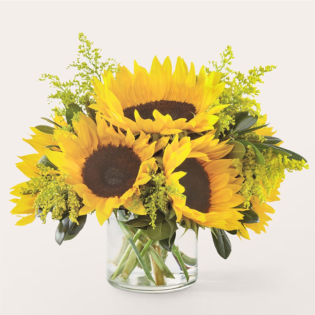 Beaming Sunflower Bouquet – Cheapflowers.com, Tontitown AR