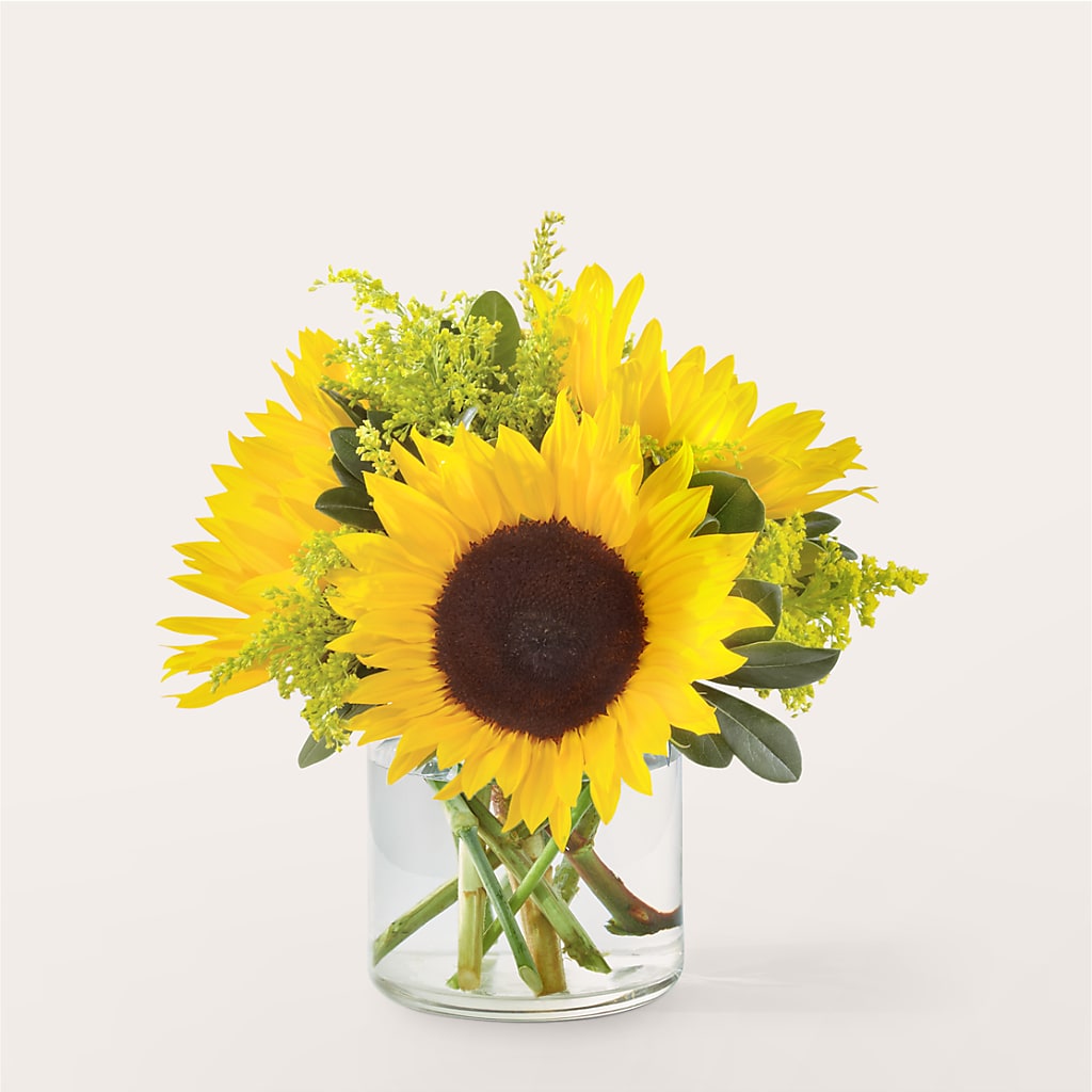 Beaming Sunflower Bouquet – Cheapflowers.com, Tontitown AR