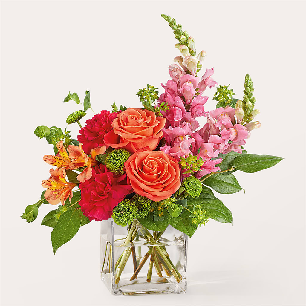 Cosmopolitan Bouquet – Cheapflowers.com, Tontitown AR