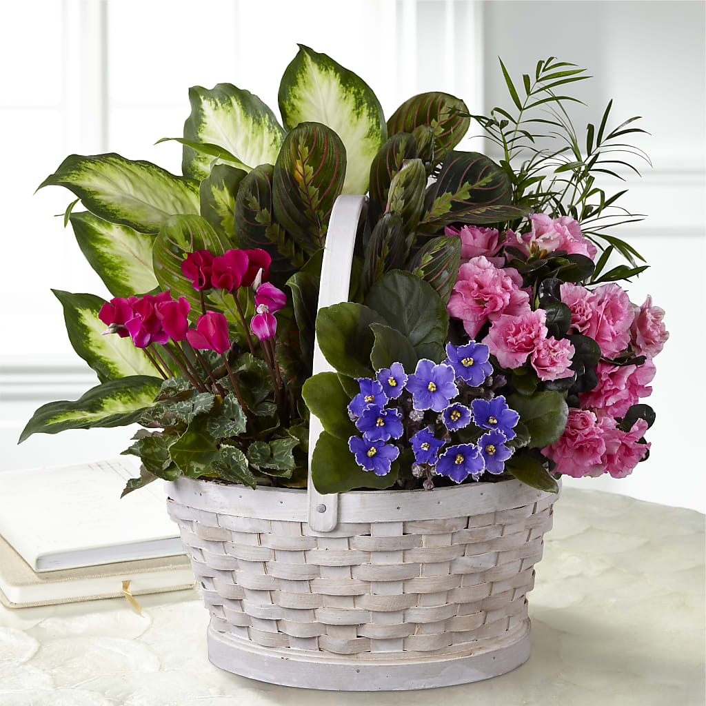 Peaceful Garden Planter – Cheapflowers.com, Tontitown AR