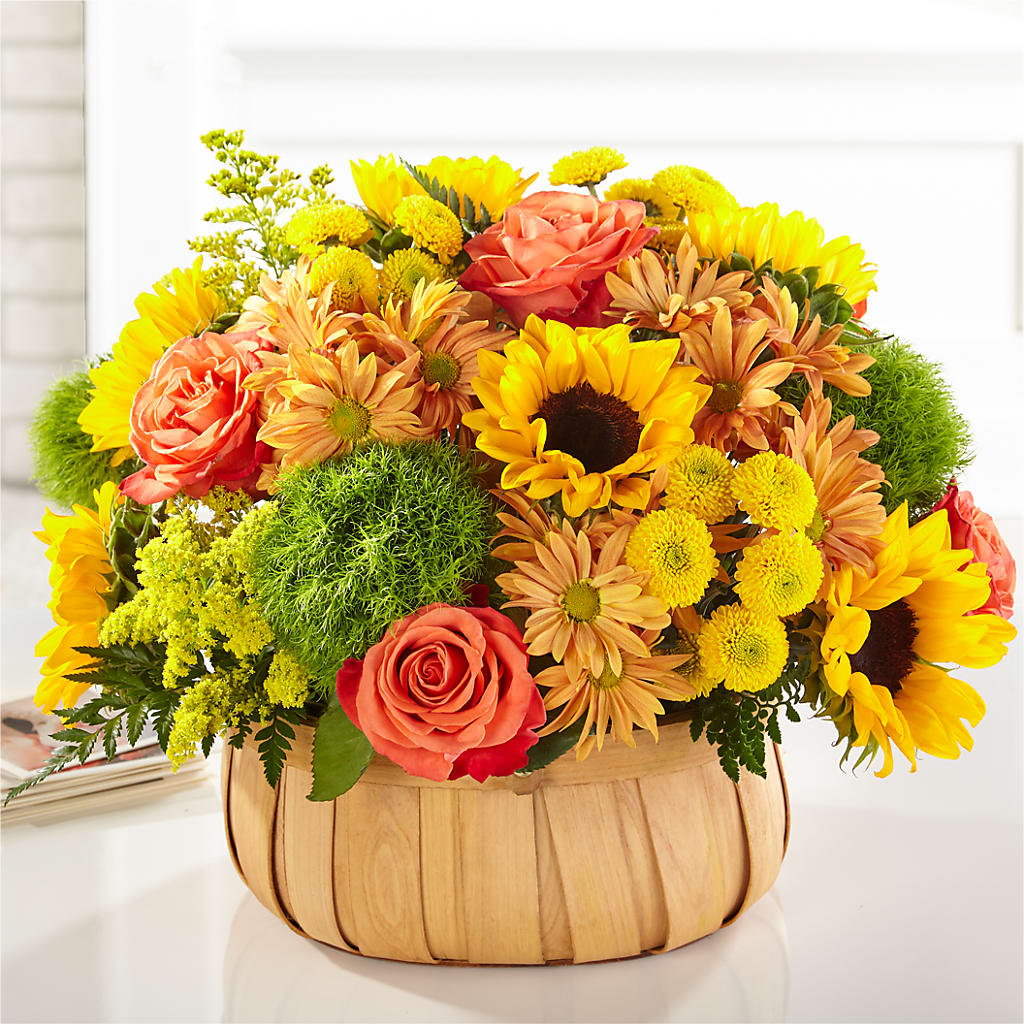 Harvest Sunflower Basket – Cheapflowers.com, Tontitown AR
