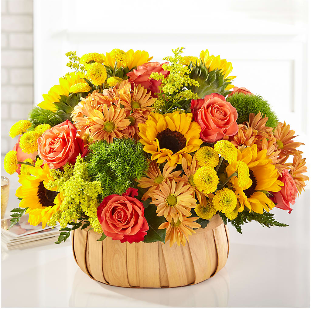 Harvest Sunflower Basket – Cheapflowers.com, Tontitown AR