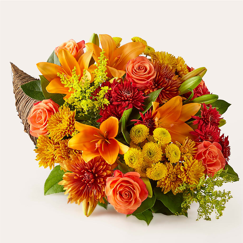 Feast of Color Cornucopia – Cheapflowers.com, Tontitown AR