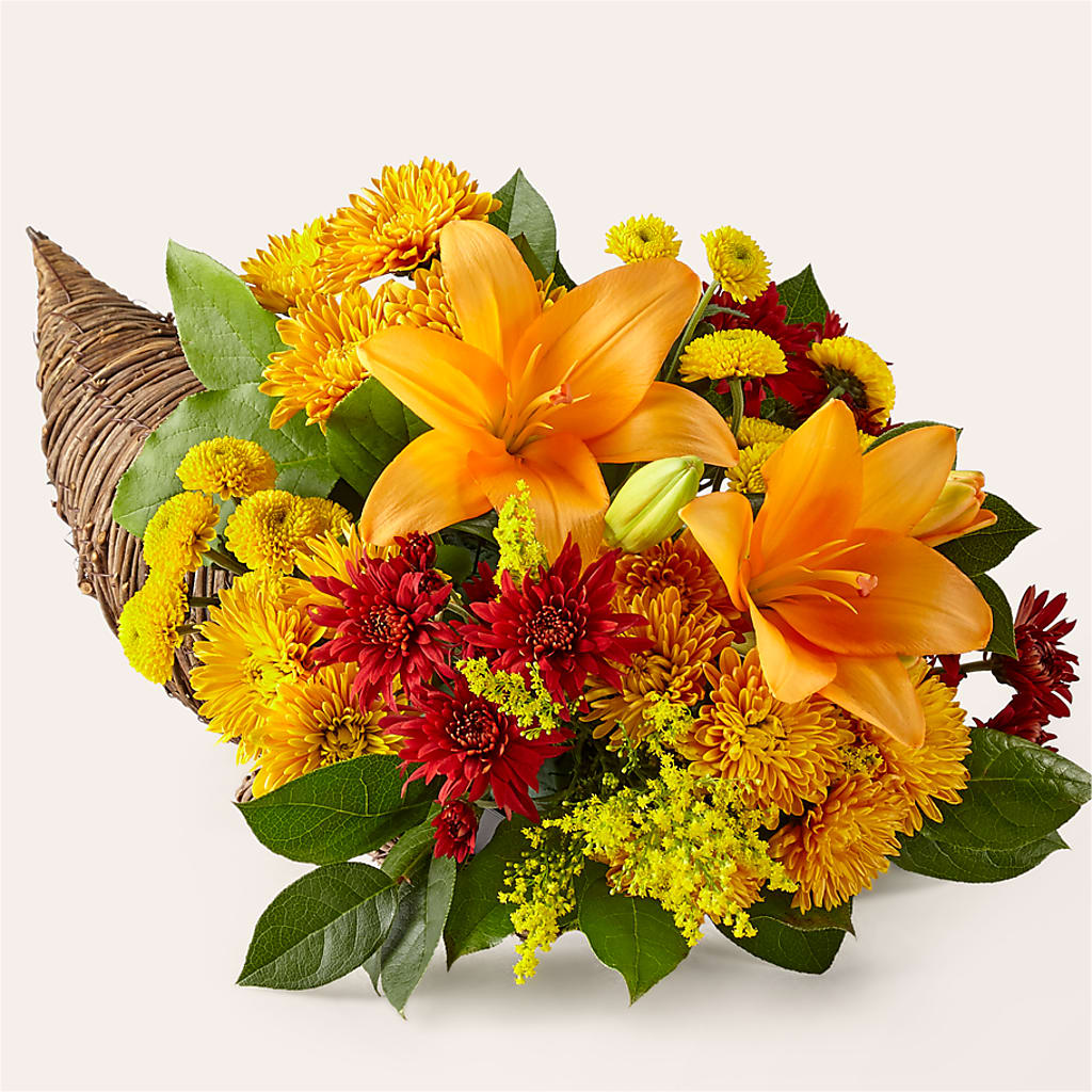 Feast of Color Cornucopia – Cheapflowers.com, Tontitown AR