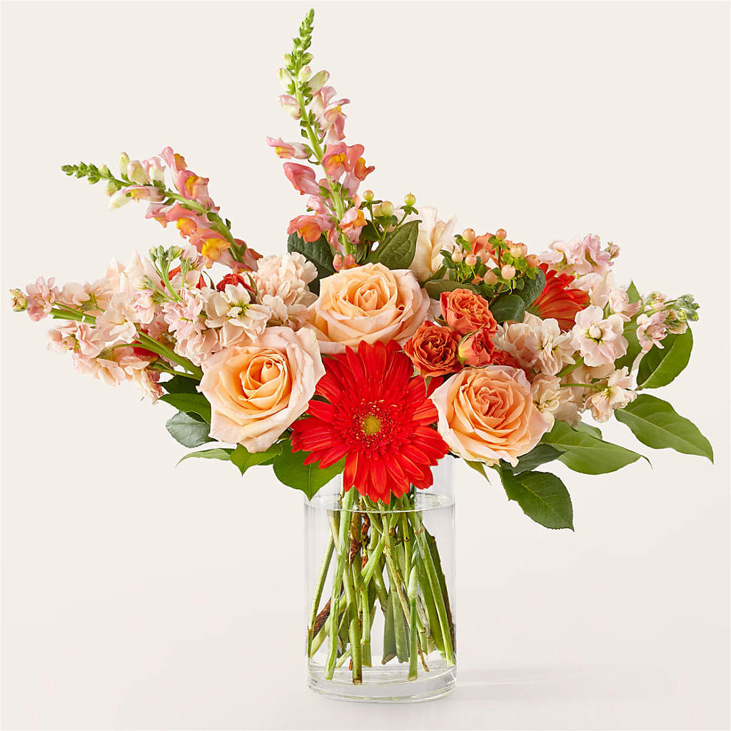 Paloma Please Bouquet – Cheapflowers.com, Tontitown AR
