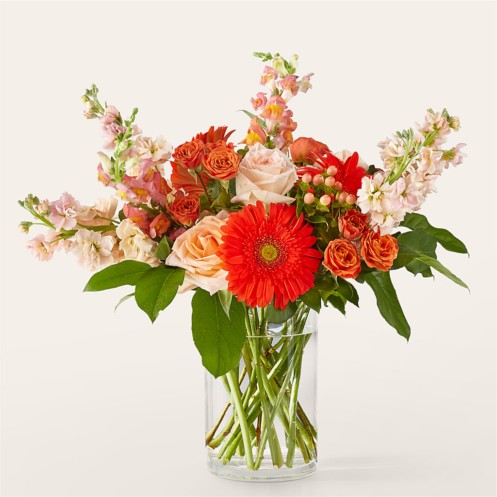 Paloma Please Bouquet – Cheapflowers.com, Tontitown AR