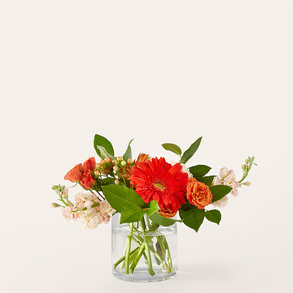 Paloma Please Bouquet – Cheapflowers.com, Tontitown AR