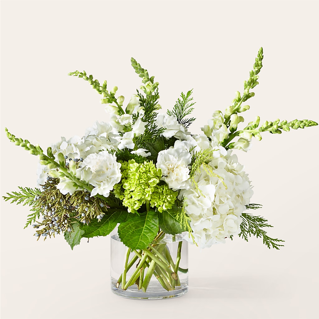 Marshmallows on Top Bouquet – Cheapflowers.com, Tontitown AR