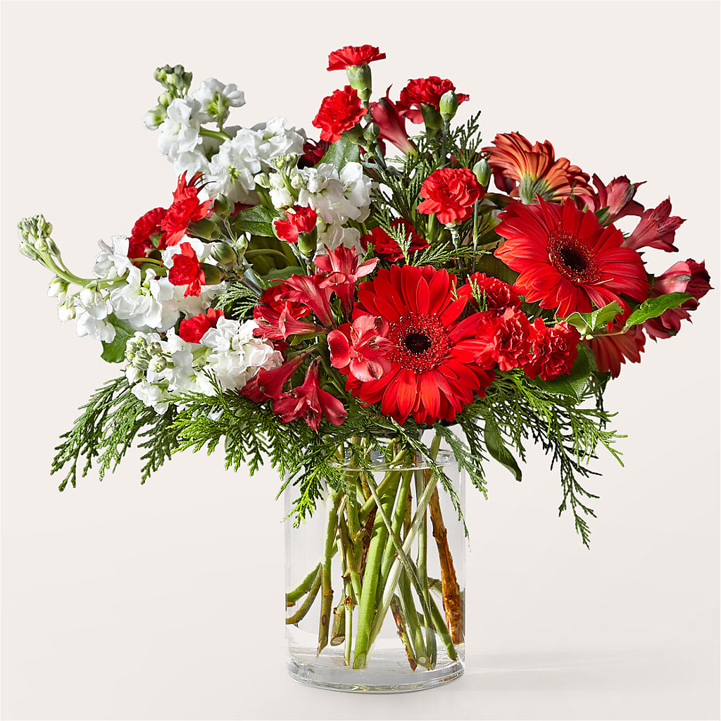 Holidaisy Bouquet – Cheapflowers.com, Tontitown AR