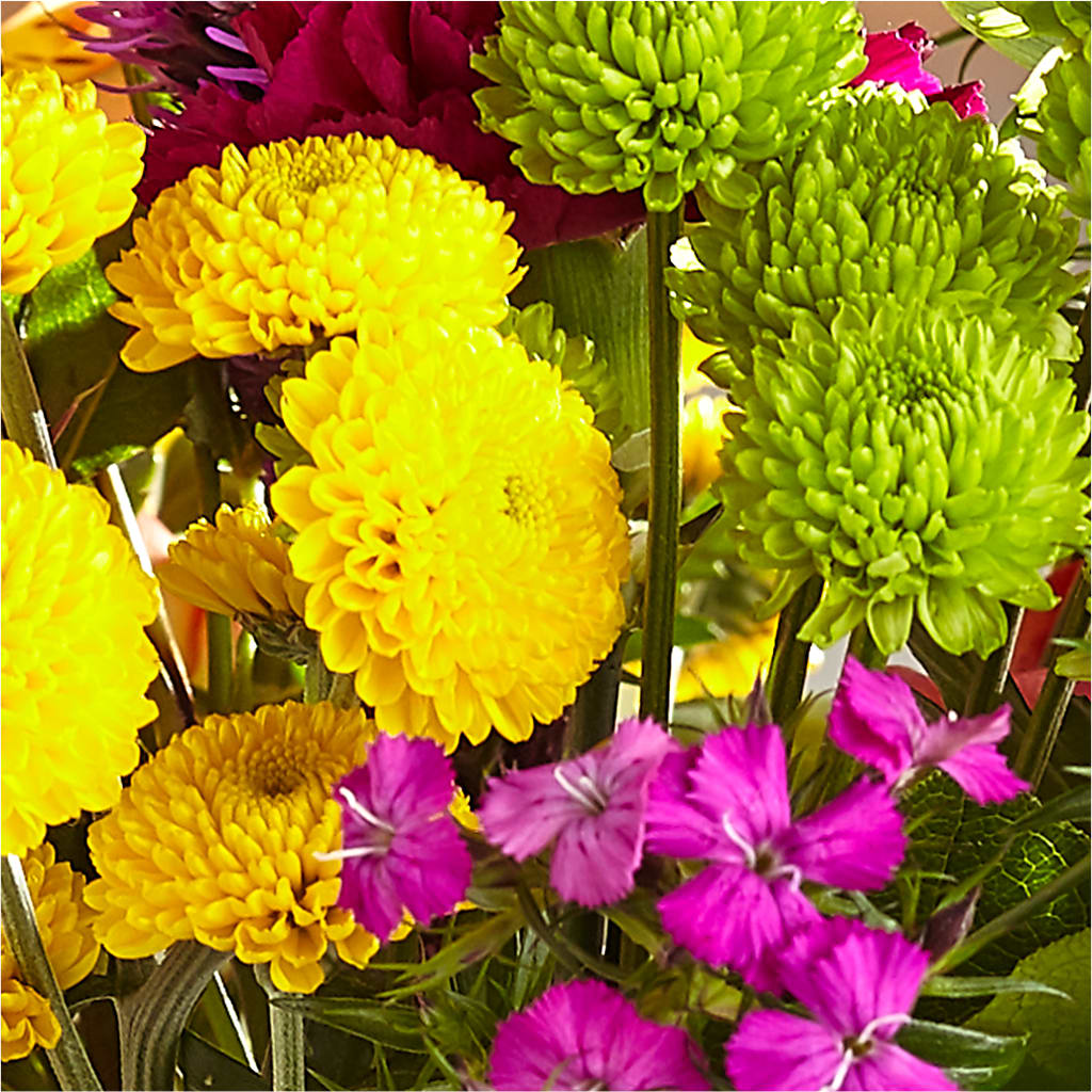 Bold & Bright – A Florist Original –  Cheapflowers.com, Tontitown AR