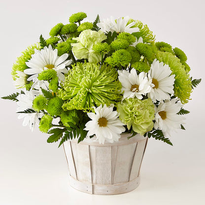 Lucky Charm Basket (Standard) –  Cheapflowers.com, Tontitown AR