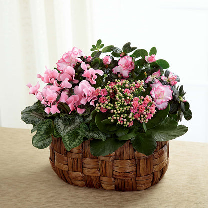 Pink Assortment –  Cheapflowers.com, Tontitown AR