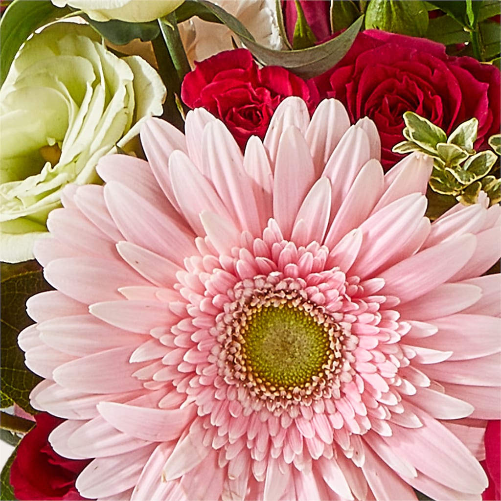 Too Cute Bouquet –  Cheapflowers.com, Tontitown AR