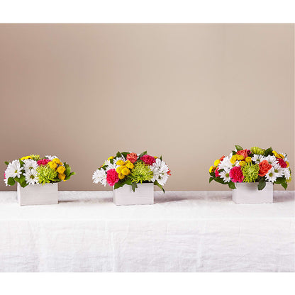 Sorbet Bouquet –  Cheapflowers.com, Tontitown AR