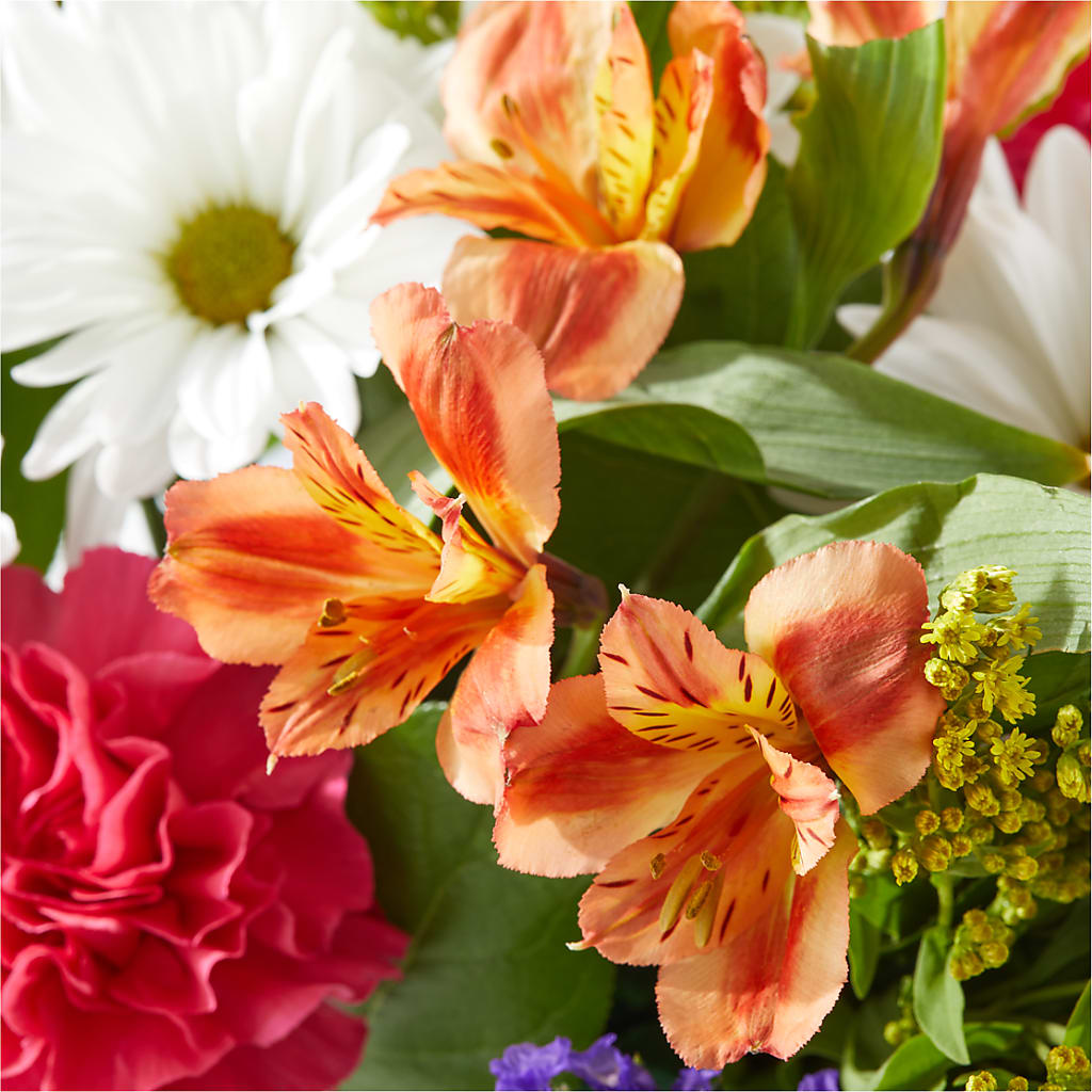 Oopsie Daisy Box Bouquet –  Cheapflowers.com, Tontitown AR