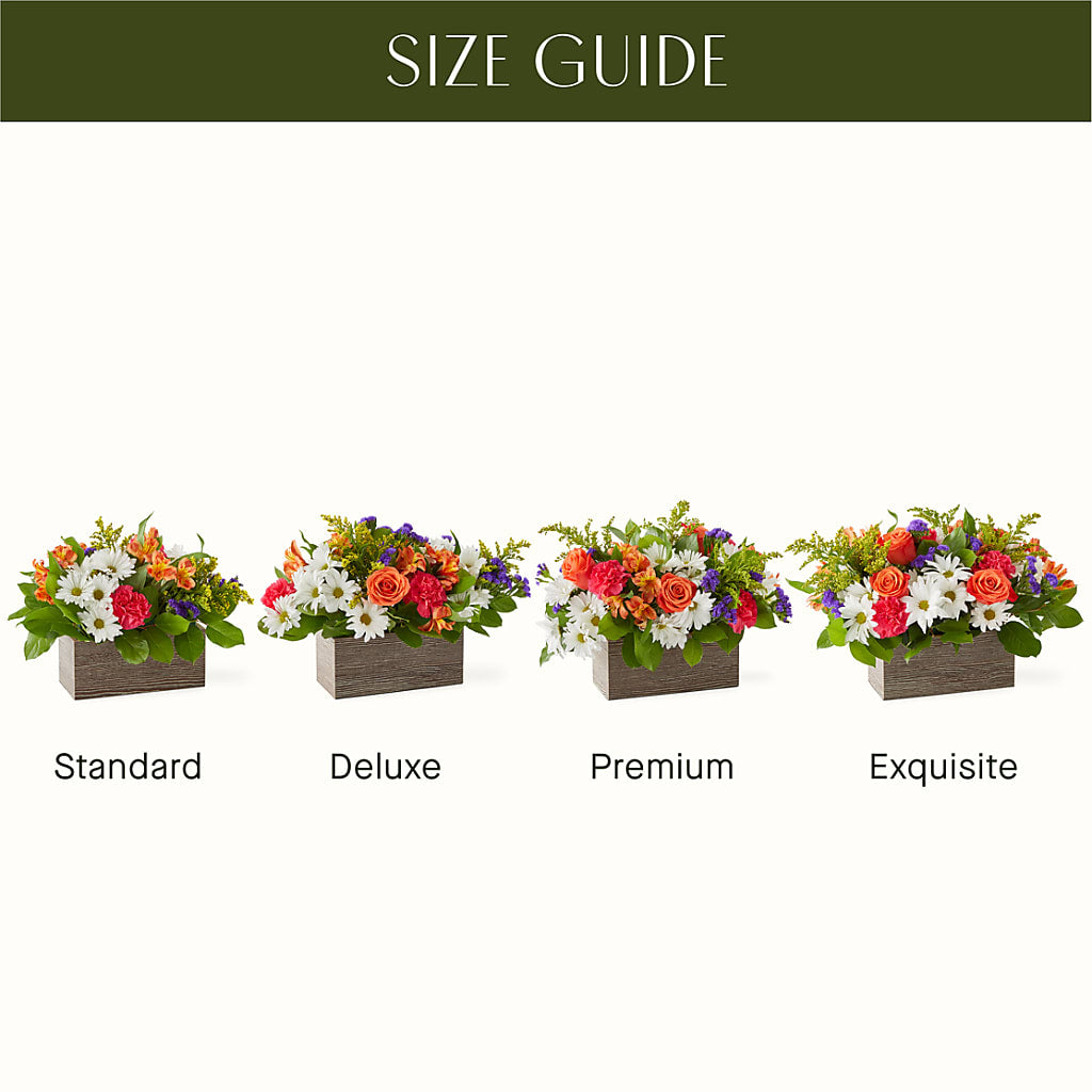 Oopsie Daisy Box Bouquet –  Cheapflowers.com, Tontitown AR