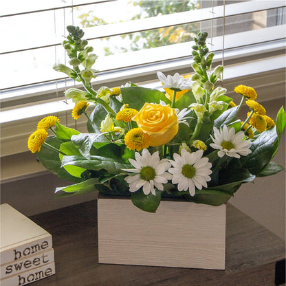 Sun Salutation Box Bouquet –  Cheapflowers.com, Tontitown AR