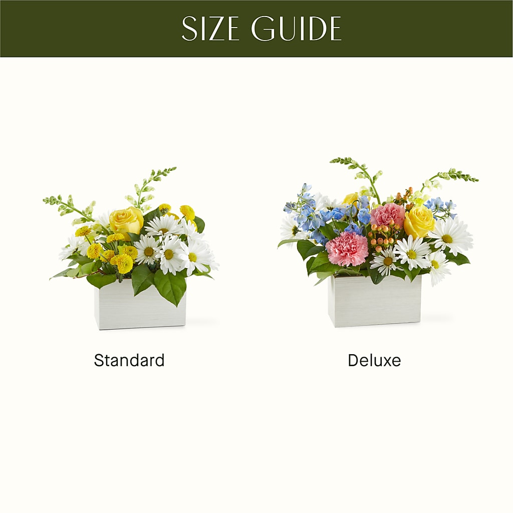 Sun Salutation Box Bouquet –  Cheapflowers.com, Tontitown AR