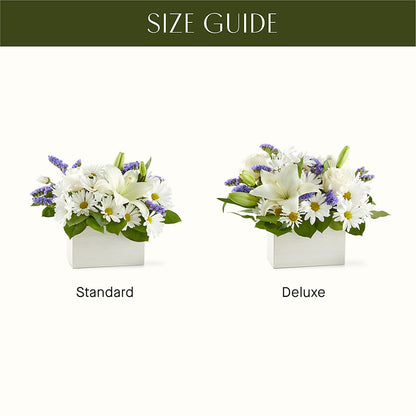 Beyond Blue Box Bouquet –  Cheapflowers.com, Tontitown AR