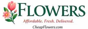 Cheap Flowers