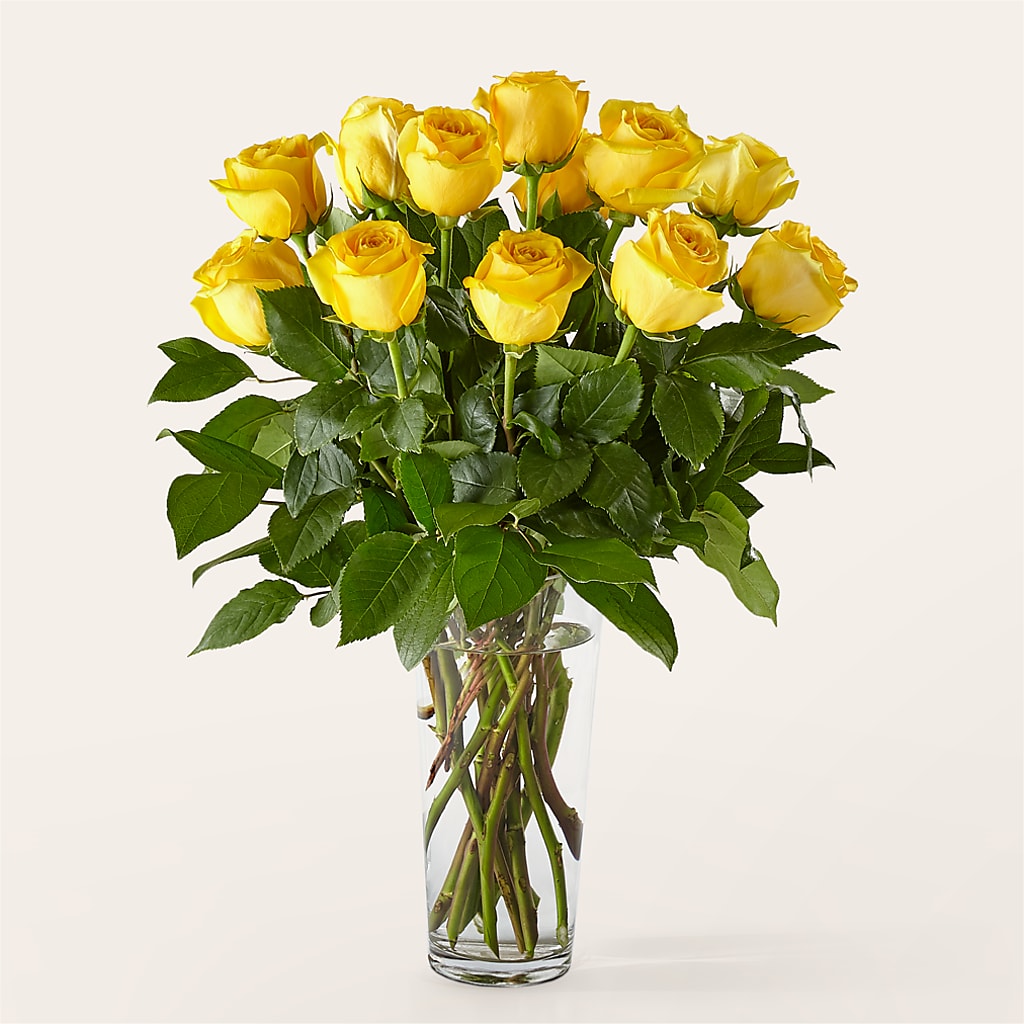Long Stem Yellow Rose Bouquet –  Cheapflowers.com, Tontitown AR