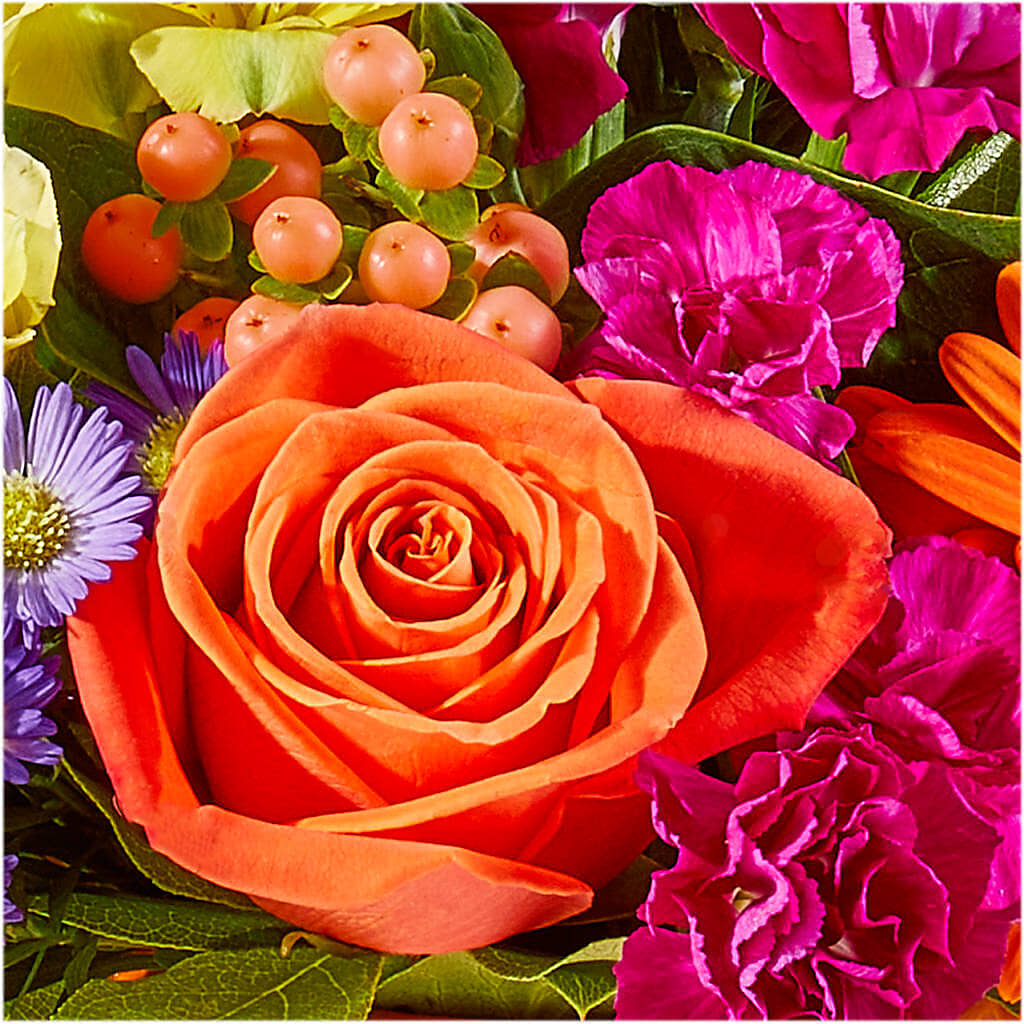 Tricks & Treats Pumpkin –  Cheapflowers.com, Tontitown AR