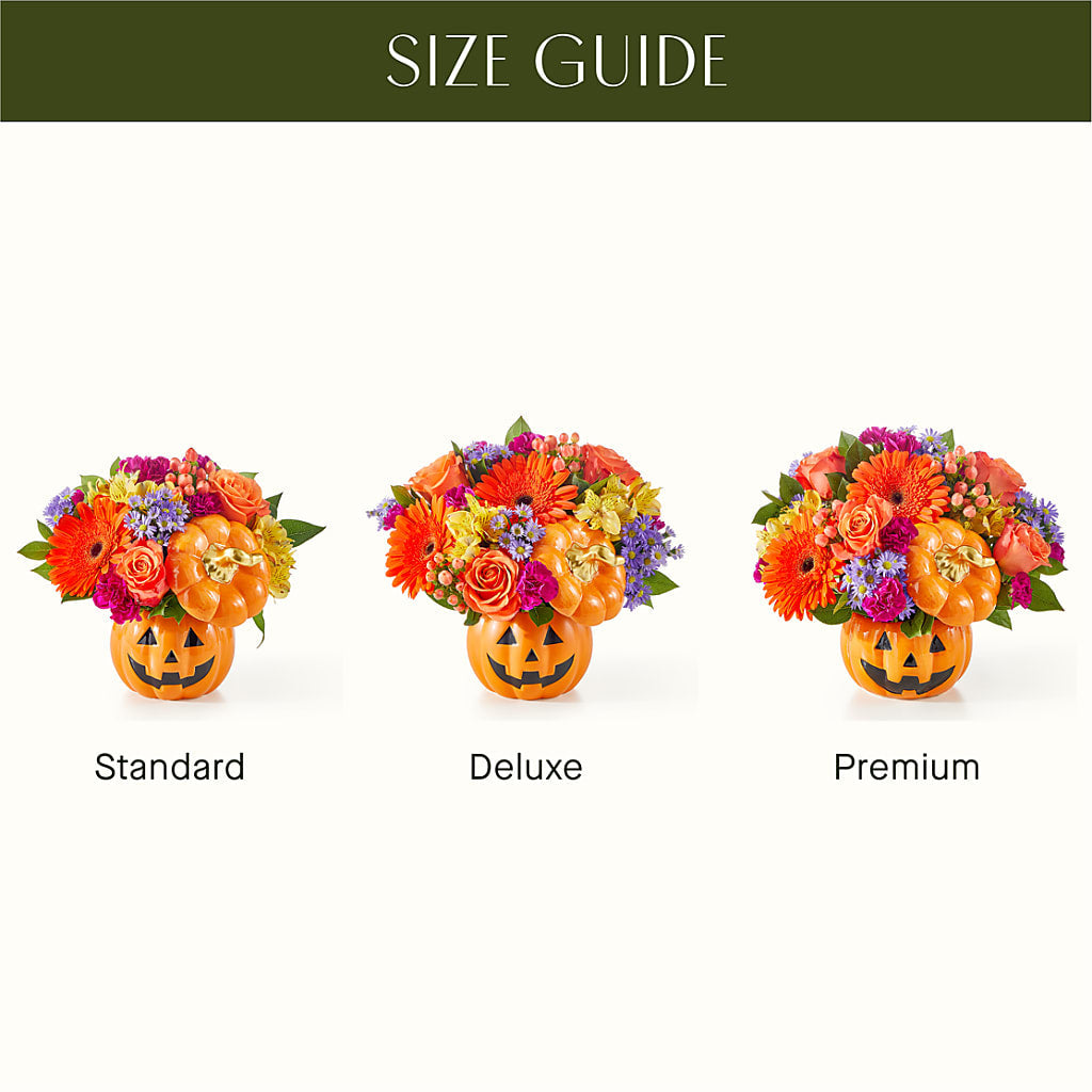 Tricks & Treats Pumpkin –  Cheapflowers.com, Tontitown AR