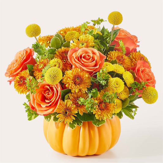 Gourdgeous Pumpkin –  Cheapflowers.com, Tontitown AR