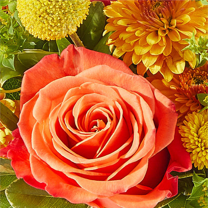 Gourdgeous Pumpkin –  Cheapflowers.com, Tontitown AR