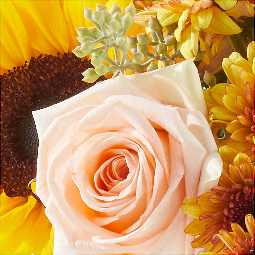 Pumpkin to Talk About Bouquet –  Cheapflowers.com, Tontitown AR