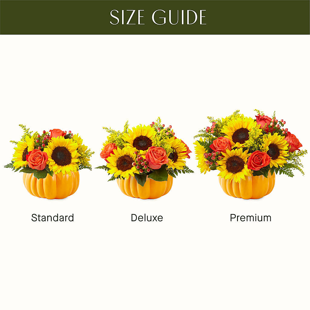 Pick of the Patch Pumpkin Bouquet –  Cheapflowers.com, Tontitown AR