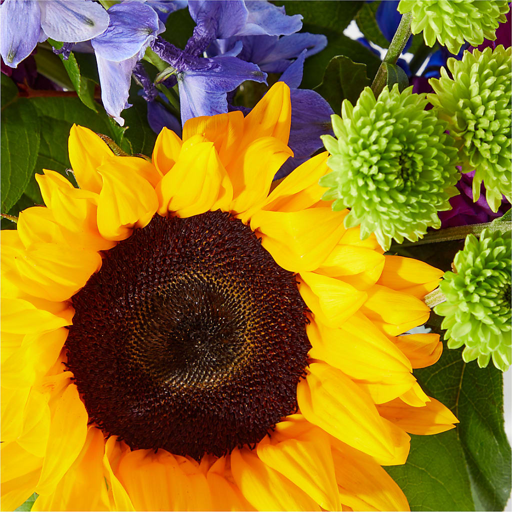 Catching Rays Bouquet –  Cheapflowers.com, Tontitown AR