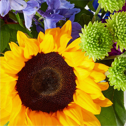 Catching Rays Bouquet –  Cheapflowers.com, Tontitown AR