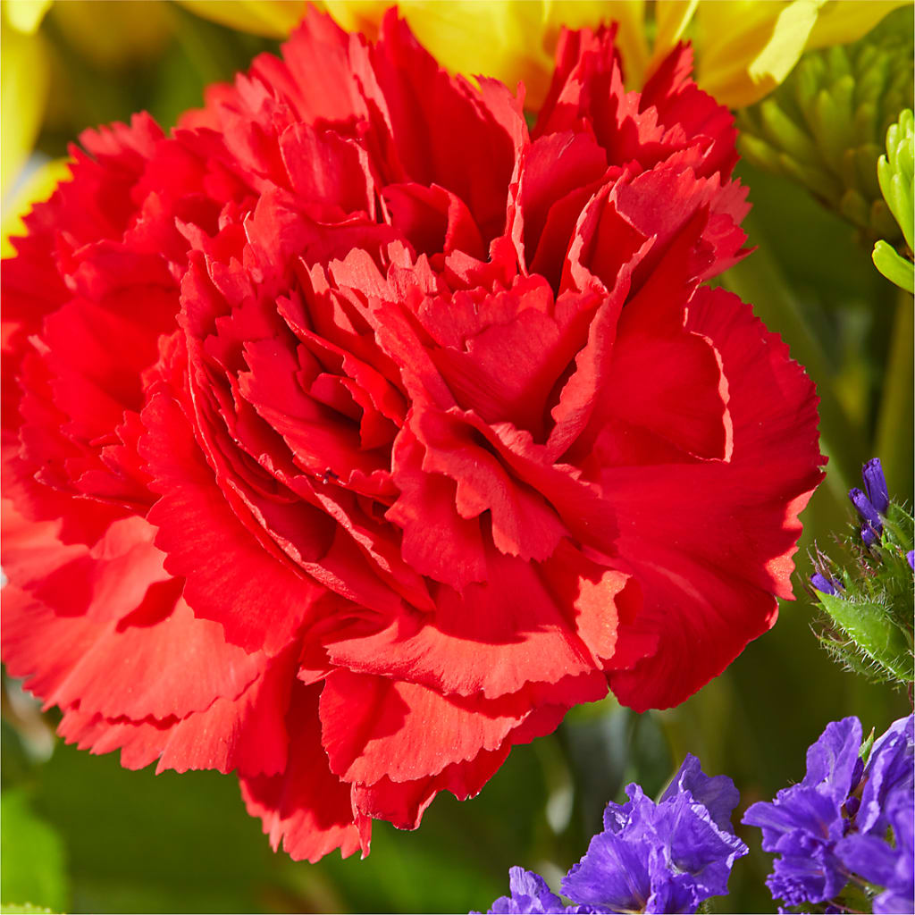 Brighter Days Bouquet –  Cheapflowers.com, Tontitown AR