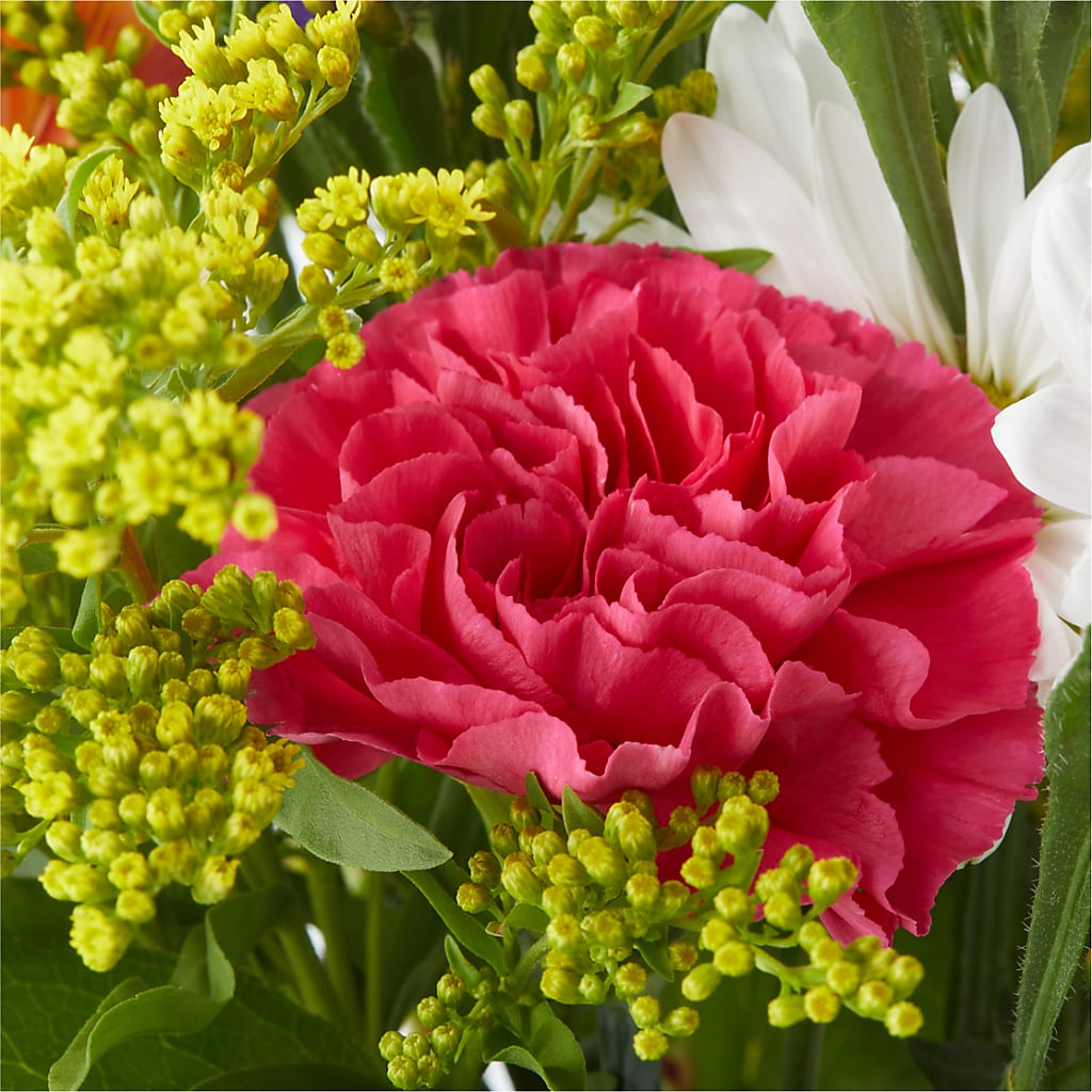 Oopsie Daisy Bouquet –  Cheapflowers.com, Tontitown AR