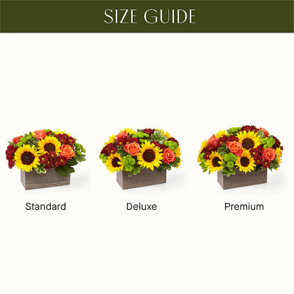 Happy Harvest Garden –  Cheapflowers.com, Tontitown AR