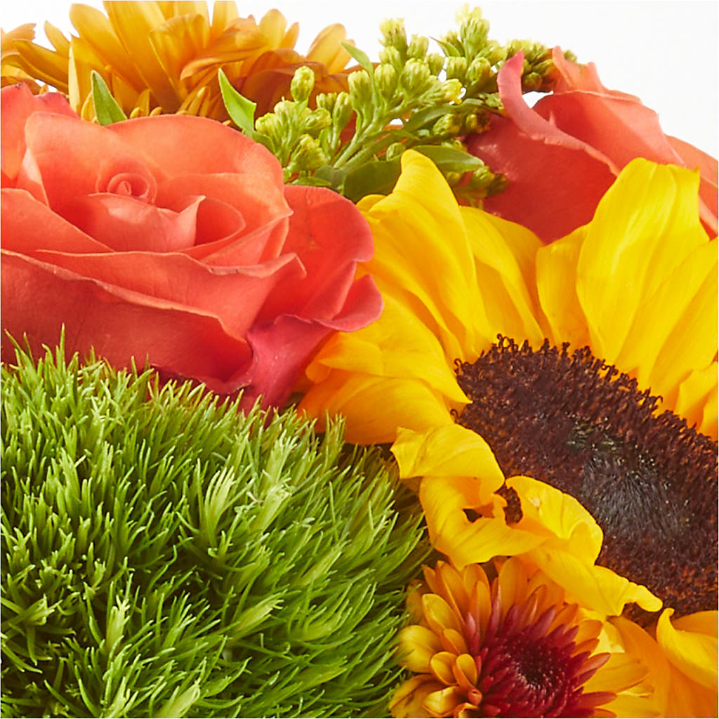 Farmer’s Market Stroll Bouquet –  Cheapflowers.com, Tontitown AR